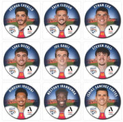 23/24 ALM Player Badges